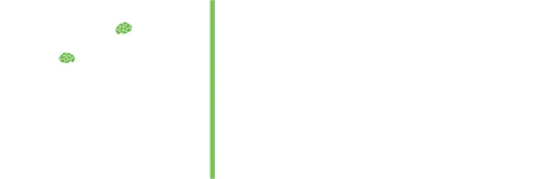CEPV